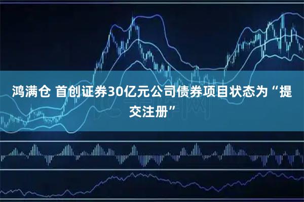 鸿满仓 首创证券30亿元公司债券项目状态为“提交注册”