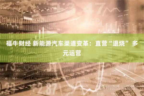 福牛财经 新能源汽车渠道变革：直营“退烧” 多元运营