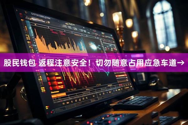 股民钱包 返程注意安全！切勿随意占用应急车道→